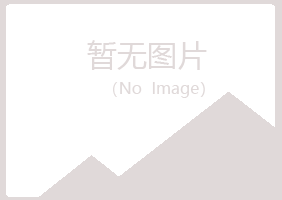 宜昌县字迹保险有限公司